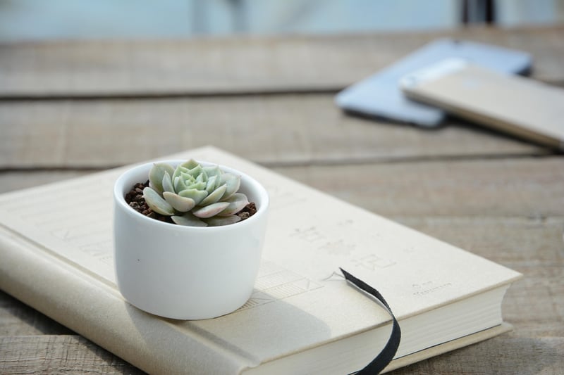 Ceramic Pots